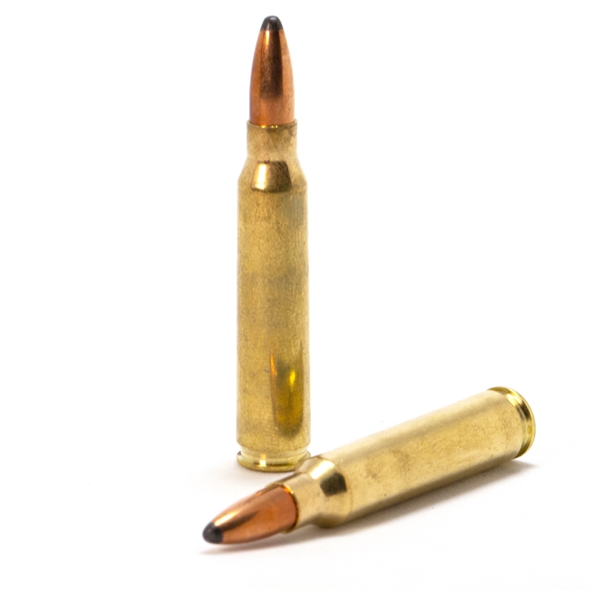 subsonic 223 with suppressor